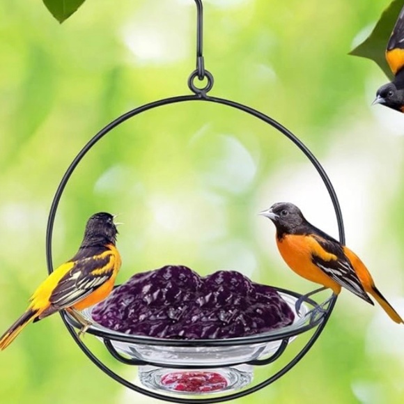 Bolite Bird Feeder - 2 Glass Trays and 2 Metal Hangers - Multipurpose - Picture 5 of 8